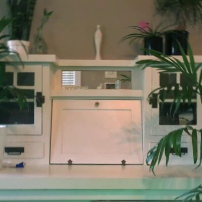 Carol Seleme Nude Squirting Dildo Fuck Leaked Video