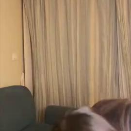 Sophieraiin – Stripping Out Of Cute Pink Underwear l Ultrathots